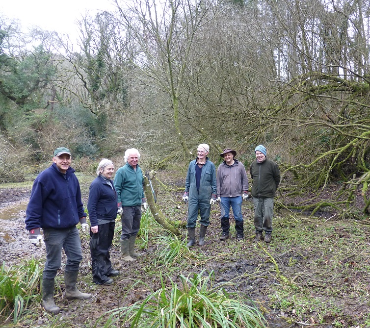Pond ‘rescue’ at Holyford Woods The Exeter Daily